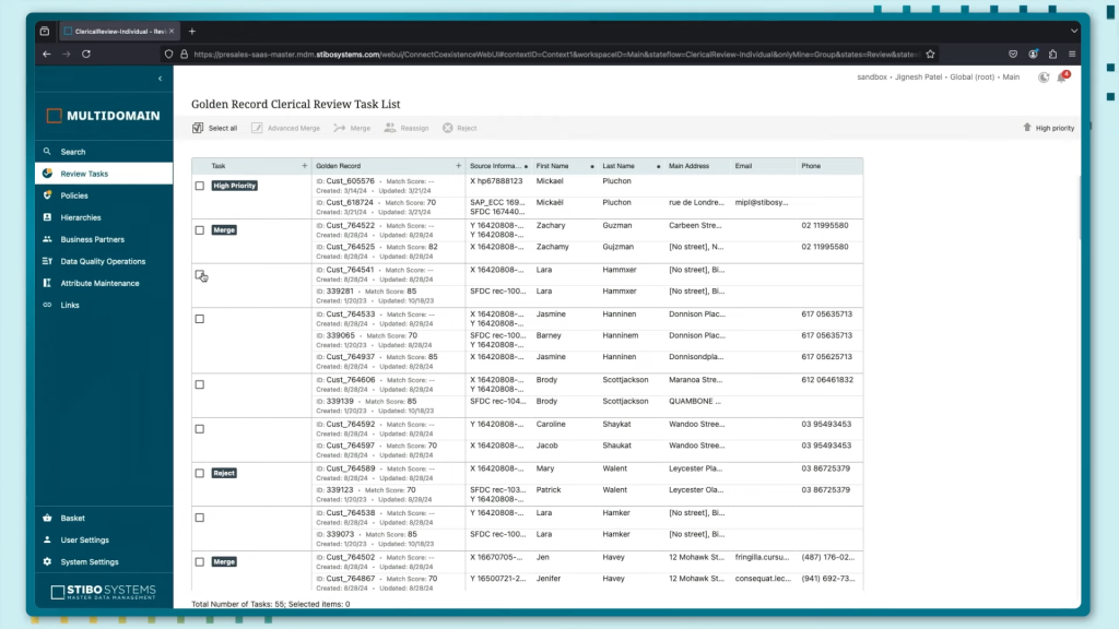 This image shows the entry of golden records into the system via STIBO SYSTEMS platform.